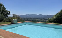 Foto pubblicata dell'ospite di Il Vignale