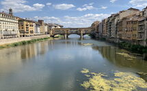 Foto pubblicata dell'ospite di Ginestra Fiorentina 110