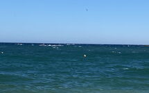 Foto pubblicata dell'ospite di Tourrettes 602