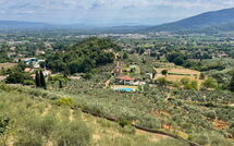 Foto pubblicata dell'ospite di Villa Vaniglia Proprietà