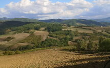 Foto pubblicata dell'ospite di Villa del Conte