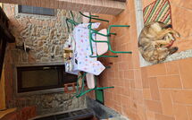 Foto pubblicata dell'ospite di Casa Milena