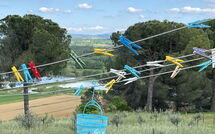 Foto pubblicata dell'ospite di Poggio Falcone