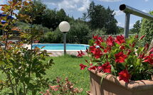 Foto pubblicata dell'ospite di Il Sangiovese