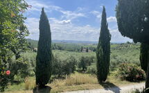 Foto pubblicata dell'ospite di Il Leccio