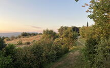 Foto pubblicata dell'ospite di Casetta i Ciliegi