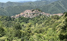 Foto pubblicata dell'ospite di Broccolo