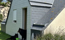 Foto pubblicata dell'ospite di Neptune