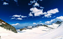 Foto pubblicata dell'ospite di Wengen 66