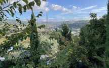 Foto pubblicata dell'ospite di La Rosa