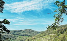 Foto pubblicata dell'ospite di Cortemilia 602