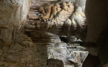 Foto pubblicata dell'ospite di Can Pedro