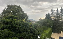 Foto pubblicata dell'ospite di Can Pedro