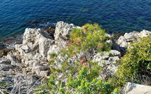 Foto pubblicata dell'ospite di Le Marbeau