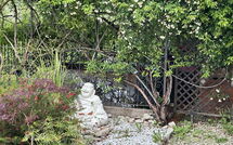 Foto pubblicata dell'ospite di Villa Ancora