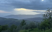 Foto pubblicata dell'ospite di Villa Ancora
