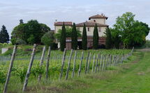 Foto pubblicata dell'ospite di Tavarnelle Val di Pesa 617