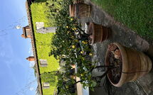 Foto pubblicata dell'ospite di Podere la Torre