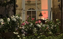 Foto pubblicata dell'ospite di La Casa dei Limoni, Camaiore, Pet Friendly, Wifi