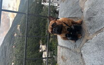 Foto pubblicata dell'ospite di Belvedere, House with Private Pool and Garden, Rec