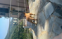 Foto pubblicata dell'ospite di Belvedere, House with Private Pool and Garden, Rec