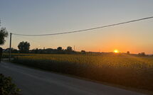 Foto pubblicata dell'ospite di Villa Cantagallo