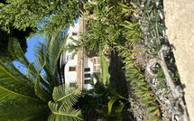 Foto pubblicata dell'ospite di Villa Finca Labranza
