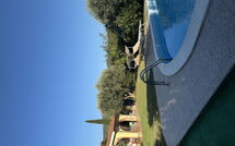 Foto pubblicata dell'ospite di Villa Il Cipresso