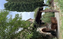 Foto pubblicata dell'ospite di Agriturismo Il Molinello