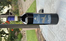 Foto pubblicata dell'ospite di L'Azalea