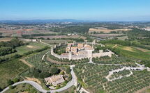 Foto pubblicata dell'ospite di L'Azalea