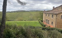 Foto pubblicata dell'ospite di Sole nel Prato