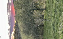 Foto pubblicata dell'ospite di Sole nel Prato