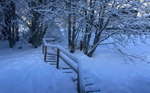 Foto pubblicata dell'ospite di Chalet 969