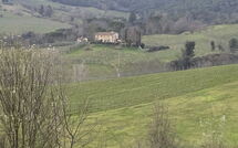 Foto pubblicata dell'ospite di Dependance di Villa Magna