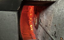 Foto pubblicata dell'ospite di Giorgio Winery