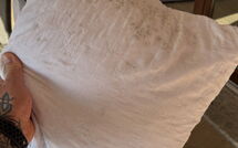 Foto pubblicata dell'ospite di Ville San Pietro (Rei352)