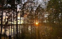Foto pubblicata dell'ospite di Metsä-Iivari