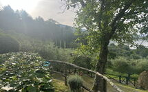 Foto pubblicata dell'ospite di Villa Flora