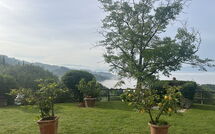 Foto pubblicata dell'ospite di Villa Flora