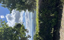 Foto pubblicata dell'ospite di Casolare Ser Chelino