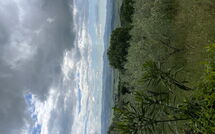 Foto pubblicata dell'ospite di Casolare Ser Chelino