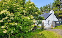 Foto pubblicata dell'ospite di The Cottage