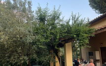 Foto pubblicata dell'ospite di Poggio Cuccule