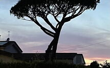 Foto pubblicata dell'ospite di Antonia