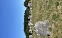 Foto pubblicata dell'ospite di Carnac 176