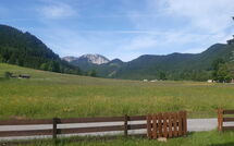Foto pubblicata dell'ospite di Chalet Bodental 28