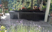 Foto pubblicata dell'ospite di Il Gianlupo Grigio