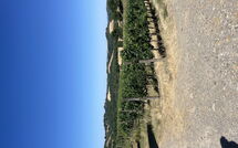 Foto pubblicata dell'ospite di Villa le Buche