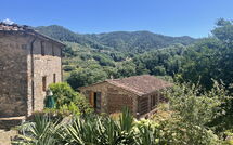 Foto pubblicata dell'ospite di Bottino